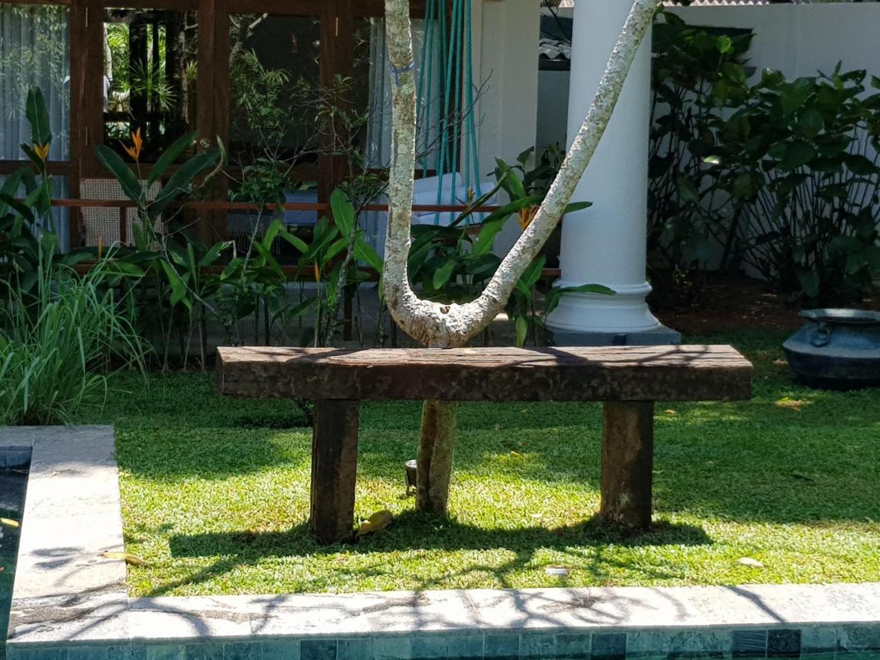 Bilin Tree House 호텔 갈레 외부 사진