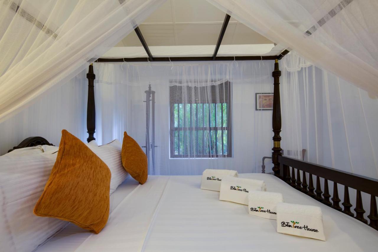 Bilin Tree House 호텔 갈레 외부 사진