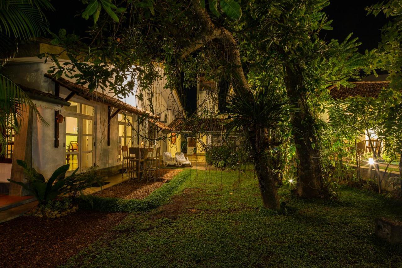 Bilin Tree House 호텔 갈레 외부 사진